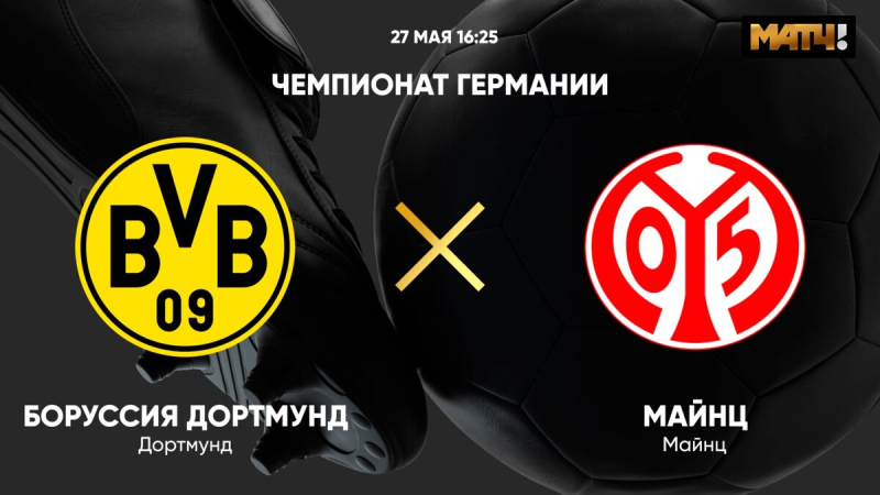 Боруссия Д &mdash; Майнц